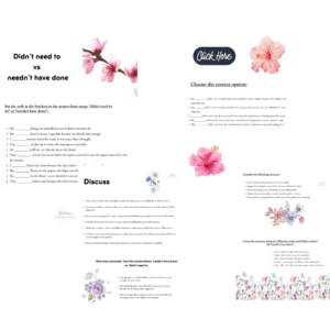 Didn't need to vs needn't have done