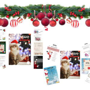 Christmas Pack - matura podstawowa i rozszerzona