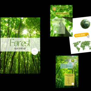Forest Bathing – Nature & Wellness